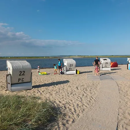 Gollwitzer Park Sternengucker