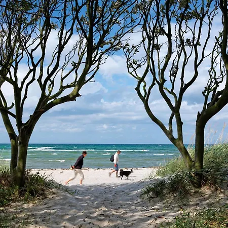 Gollwitzer Park Sternengucker