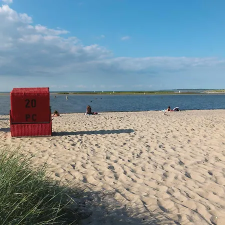 Gollwitzer Park Sternengucker Gollwitz
