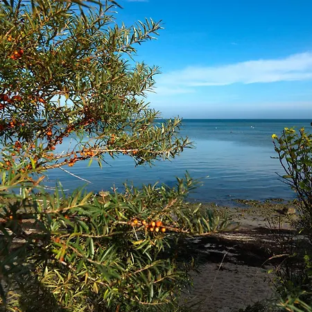 Gollwitzer Park Sternengucker * Gollwitz