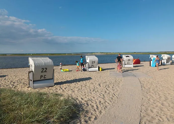 Gollwitzer Park Sternengucker