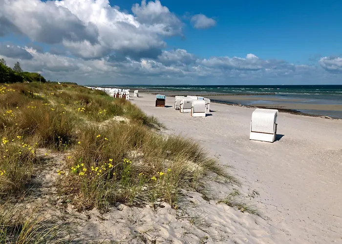 Gollwitzer Park Sternengucker Gollwitz