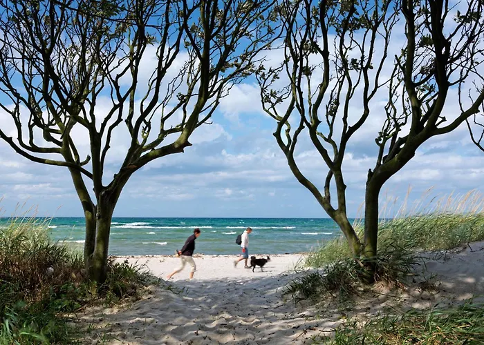 Gollwitzer Park Sternengucker