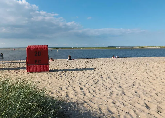 Gollwitzer Park Sternengucker Gollwitz