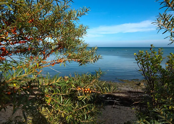 Gollwitzer Park Sternengucker * Gollwitz